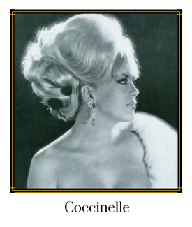 Coccinelle Coccinelle