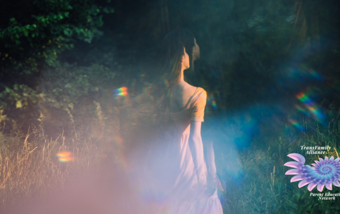 A distorted dark grassy landscape featuring a dream-auric figure in the center who we might presume is plunked in this disoriented naturescape trying to answer the question, What is Gender Dysphoria tho?