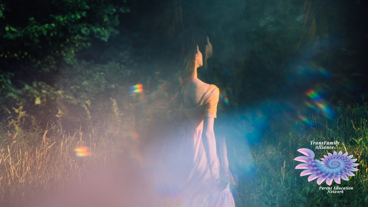 A distorted dark grassy landscape featuring a dream-auric figure in the center who we might presume is plunked in this disoriented naturescape trying to answer the question, What is Gender Dysphoria tho?