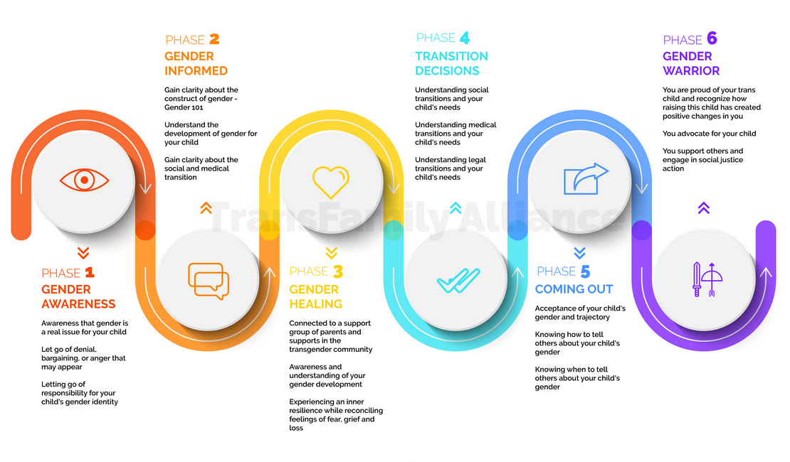 Infographic illustrating the 6 phases of the TransFamily Gender Journey