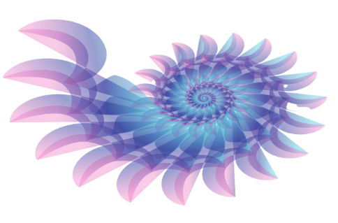 Nautilus shape for TransFamilyAlliance logo