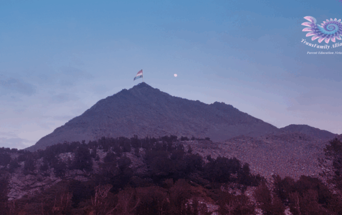 Transgender awareness flag planted on top of a mountain with a rising moon
