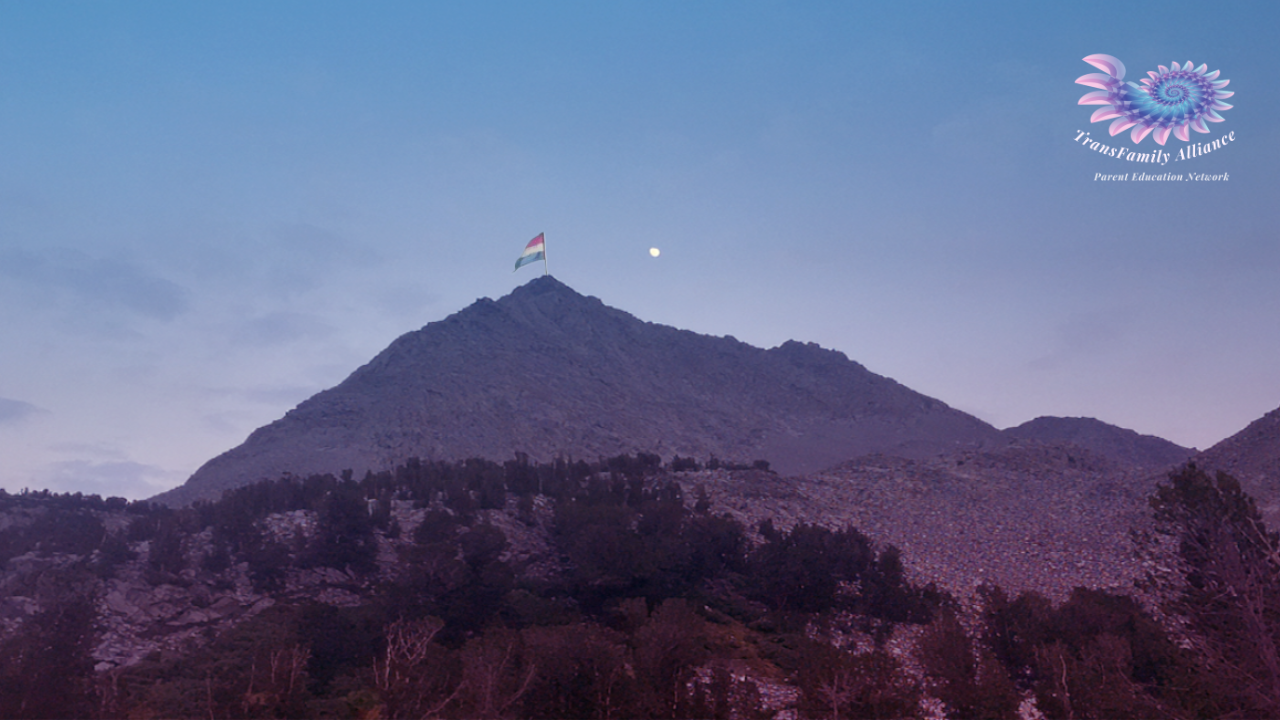 Transgender awareness flag planted on top of a mountain with a rising moon