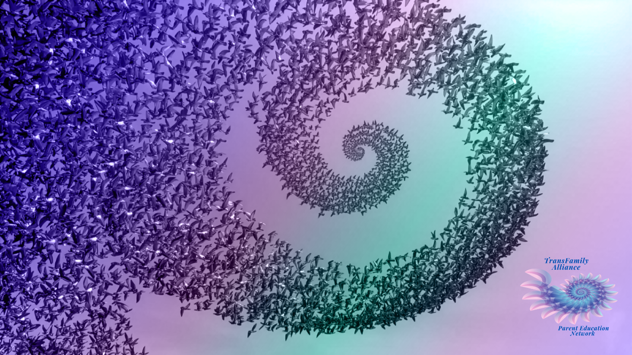 A flock of birds spiraling into a holographic rainbow mist, representing the ascending wisdom of becoming gender informed