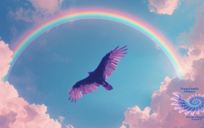 Eagle flying beneath a rainbow, celebrating becoming a gender warrior parent for its gender-diverse offspring