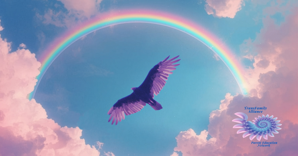 Eagle flying beneath a rainbow, celebrating becoming a gender warrior parent for its gender-diverse offspring
