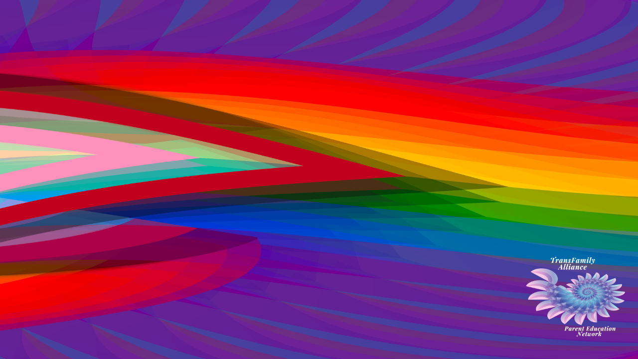 A windswept fractal image of the LGBTQ Pride Flag with the Trans flag nestled at the center, representing the urgency and humility required for asking the question, how to be a trans ally