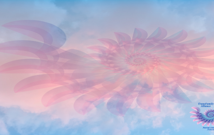 Abstract image of a nautilus shape in ethereal gold and pink Renaissance sunset colors, designed for people considering Gender 101 for Parents