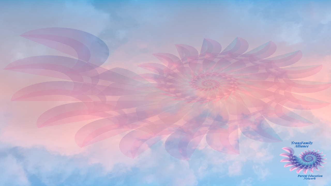 Abstract image of a nautilus shape in ethereal gold and pink Renaissance sunset colors, designed for people considering Gender 101 for Parents