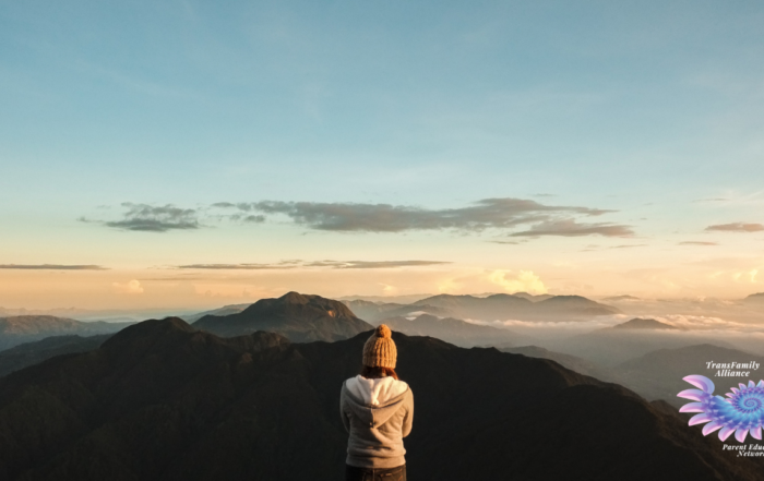 Human figure standing on top of a mountain, staring at the tops of other mountains extending towards the horizon, pensively considering the topic of What I Wish My Parents Had Known About Being Trans