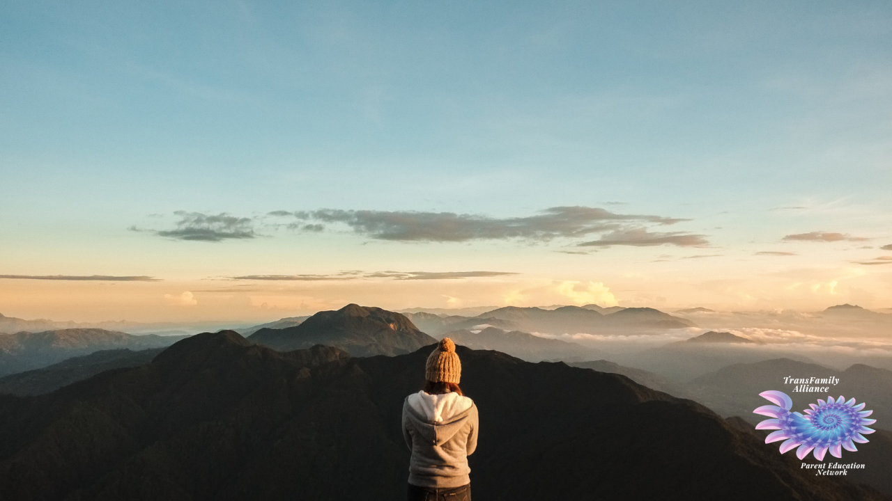Human figure standing on top of a mountain, staring at the tops of other mountains extending towards the horizon, pensively considering the topic of What I Wish My Parents Had Known About Being Trans